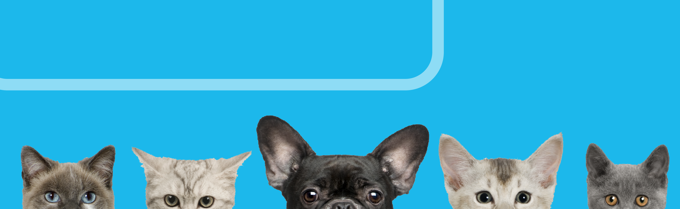 Página de inicio_ind_Medmatch PET